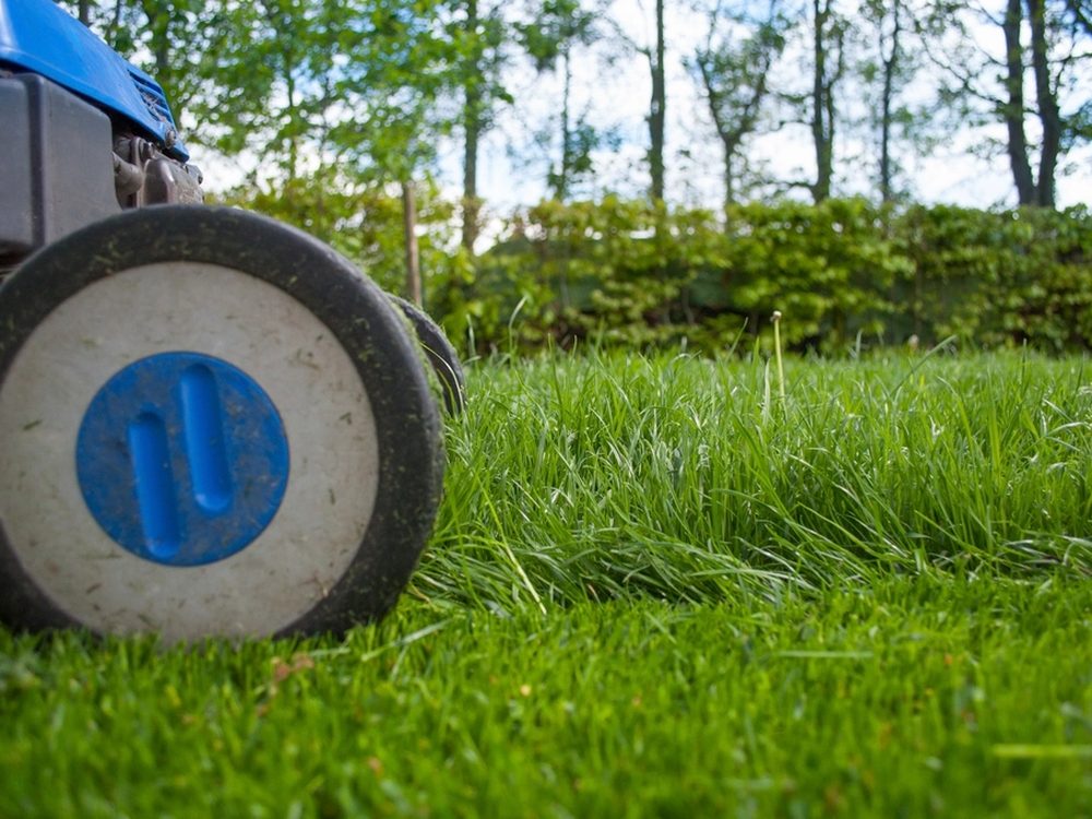 A mower on a lush green lawn kept clean by bundled lawn care and pet waste removal.